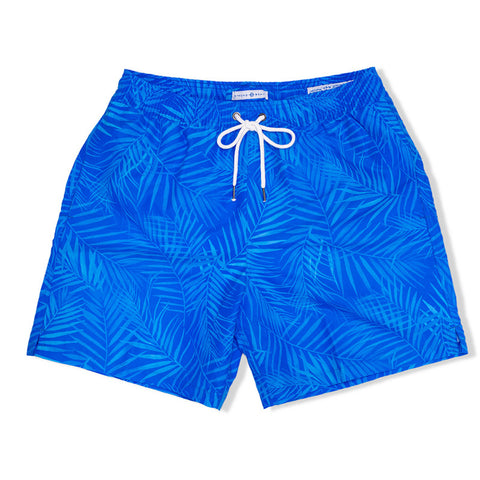 Strong Boalt Trunk Royal X-Rays Palms