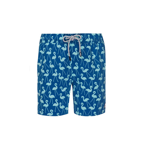 Tom & Teddy Flamingo Trunks Sky Blue