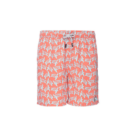 Tom & Teddy Trunks Turtles Orange & Blue